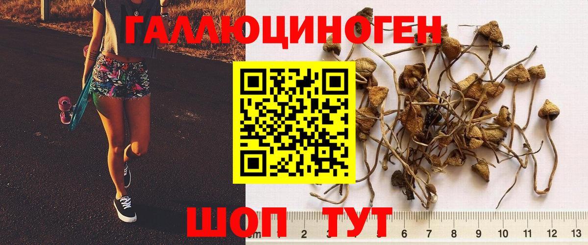 Псилоцибиновые грибы GOLDEN TEACHER  Вход с VPN  Великий Устюг 