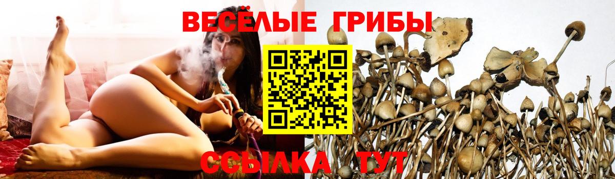 Галлюциногенные грибы ЛСД Великий Устюг